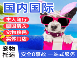 大同云冈机场物流国际宠物托运 【国